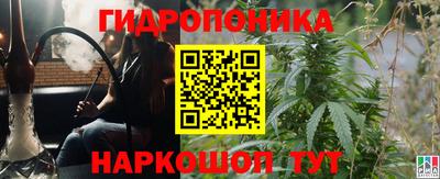 дурь Тара